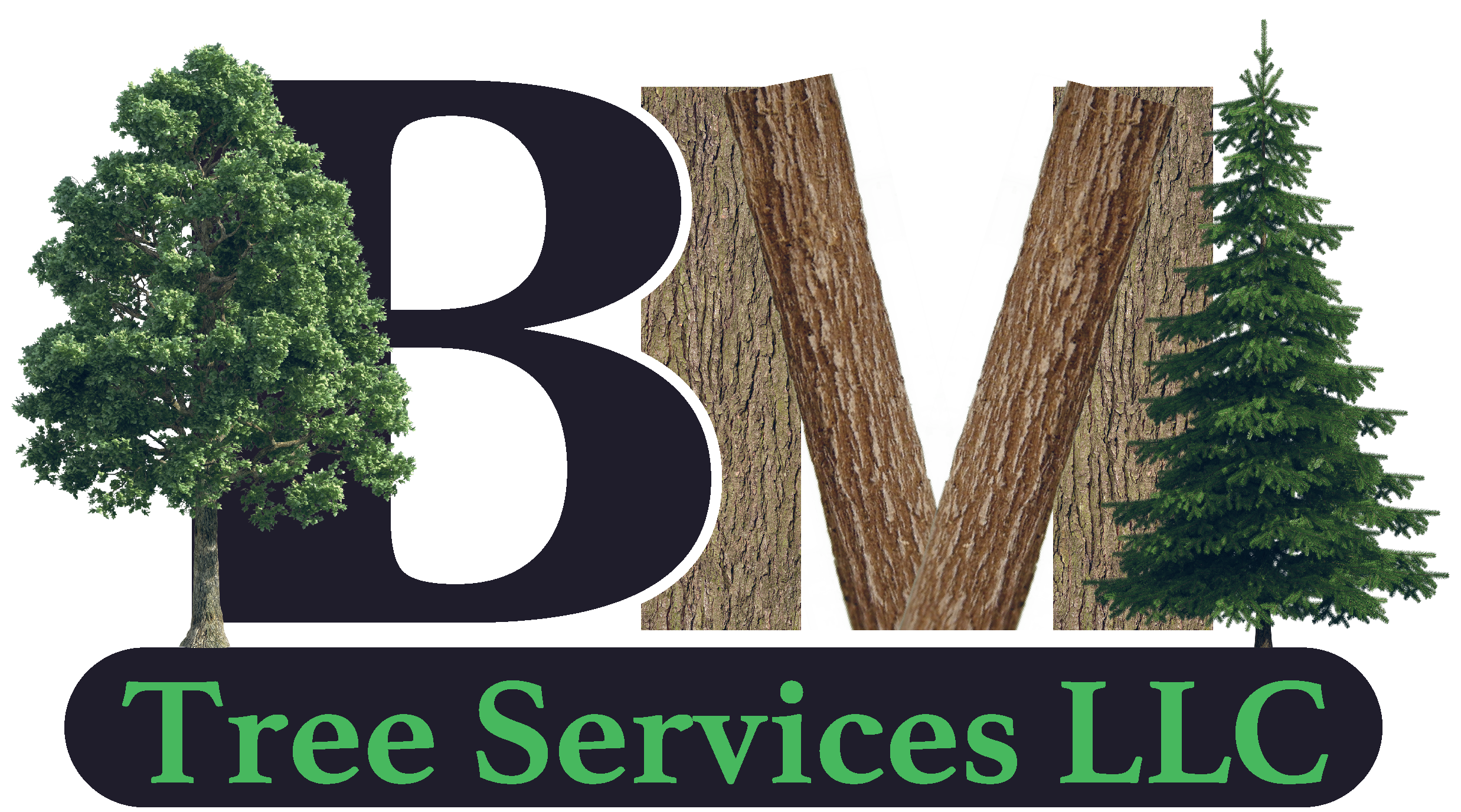 BM Tree Services